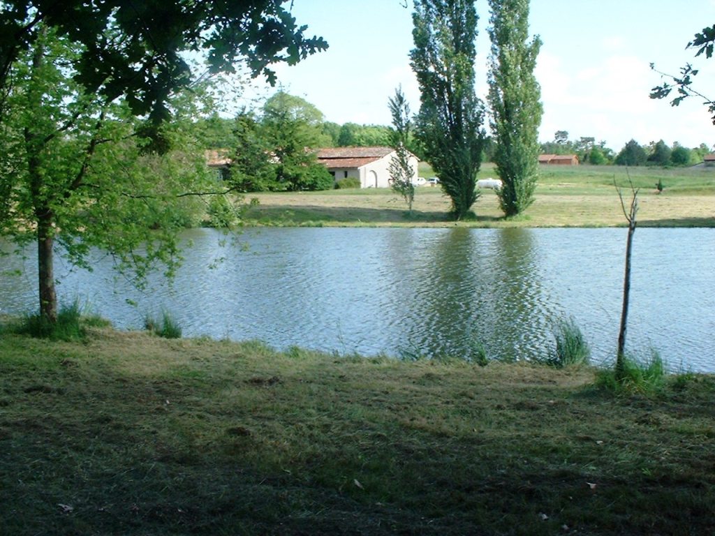 Bois Forêt étang à Vendre Dans Le 41
